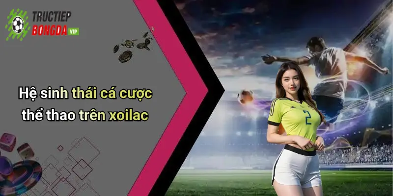 Hệ sinh thái cá cược thể thao trên xoilac