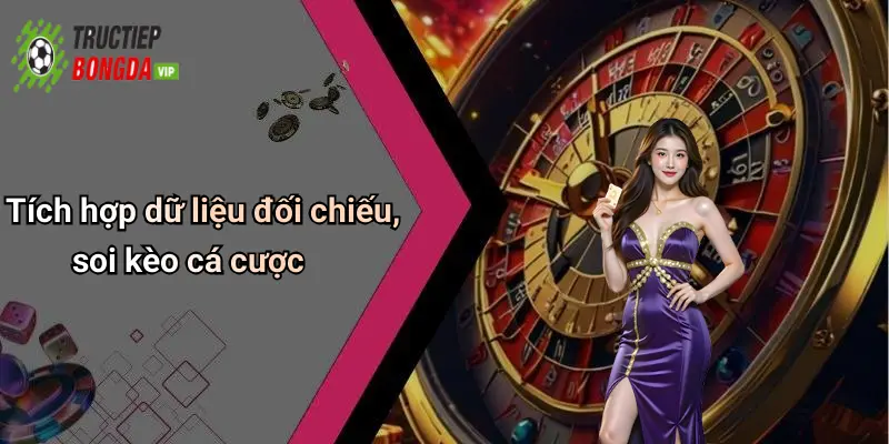 Tích hợp dữ liệu đối chiếu, soi kèo cá cược