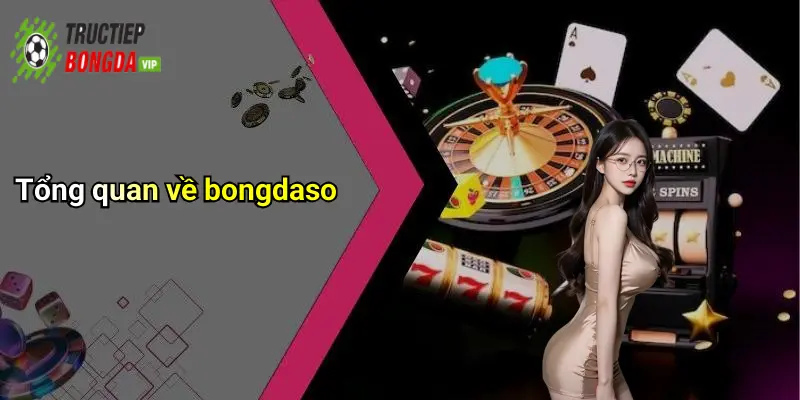 Tổng quan về bongdaso