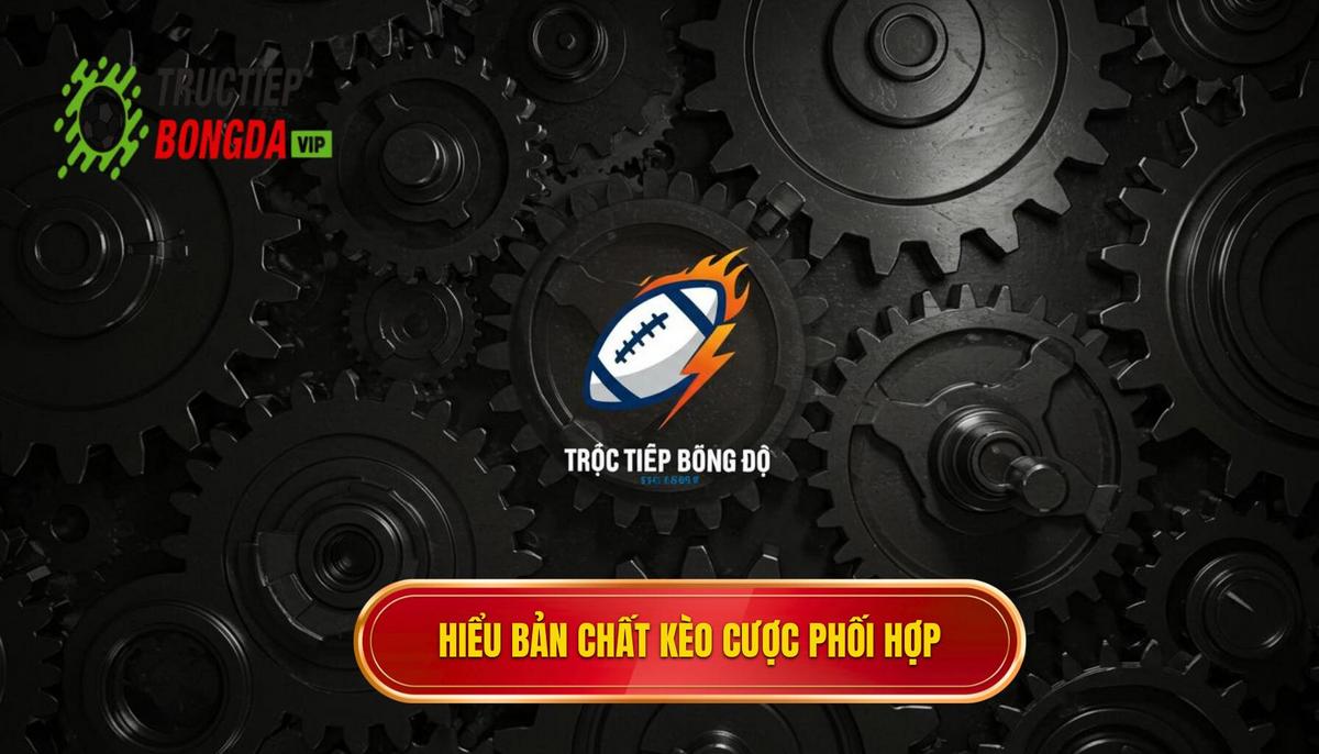 Phần 1_ Hiểu Rõ Bản Chất của Kèo Cược Phối Hợp Cánh