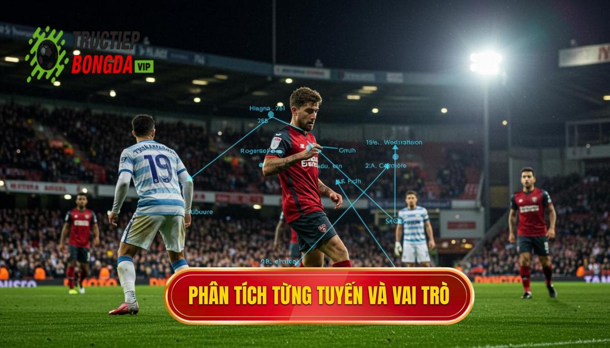 Phân tích chi tiết từng tuyến và vai trò