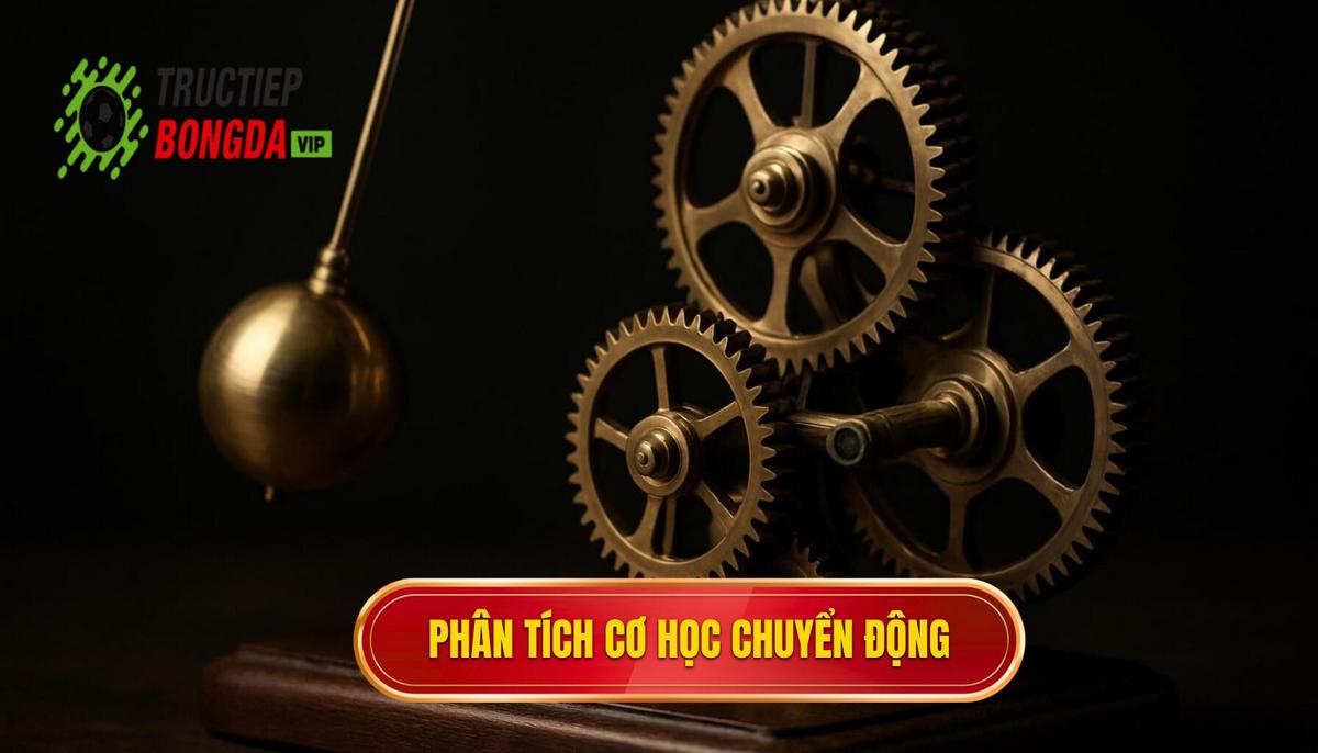 Phân Tích Cơ Học Động Tác