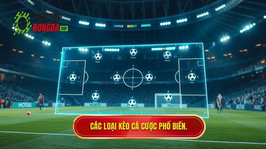 2. Các loại kèo phổ biến bạn cần nắm vững