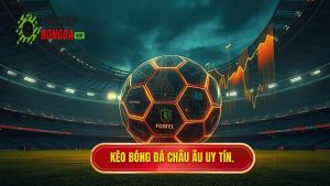 Kèo Bóng Đá Châu Âu: Cẩm Nang Toàn Tập Và Chiến Thuật Chinh Phục Mọi Trận Đấu