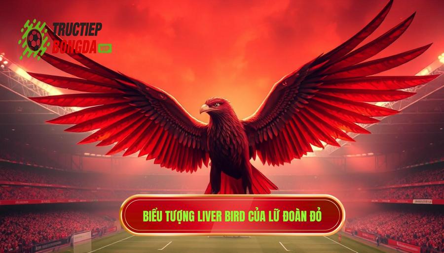 Lữ Đoàn Đỏ và mối liên kết với biểu tượng chim Liver Bird
