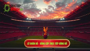 Vì sao Liverpool được gọi là Lữ Đoàn Đỏ? Bí mật biệt danh The Reds